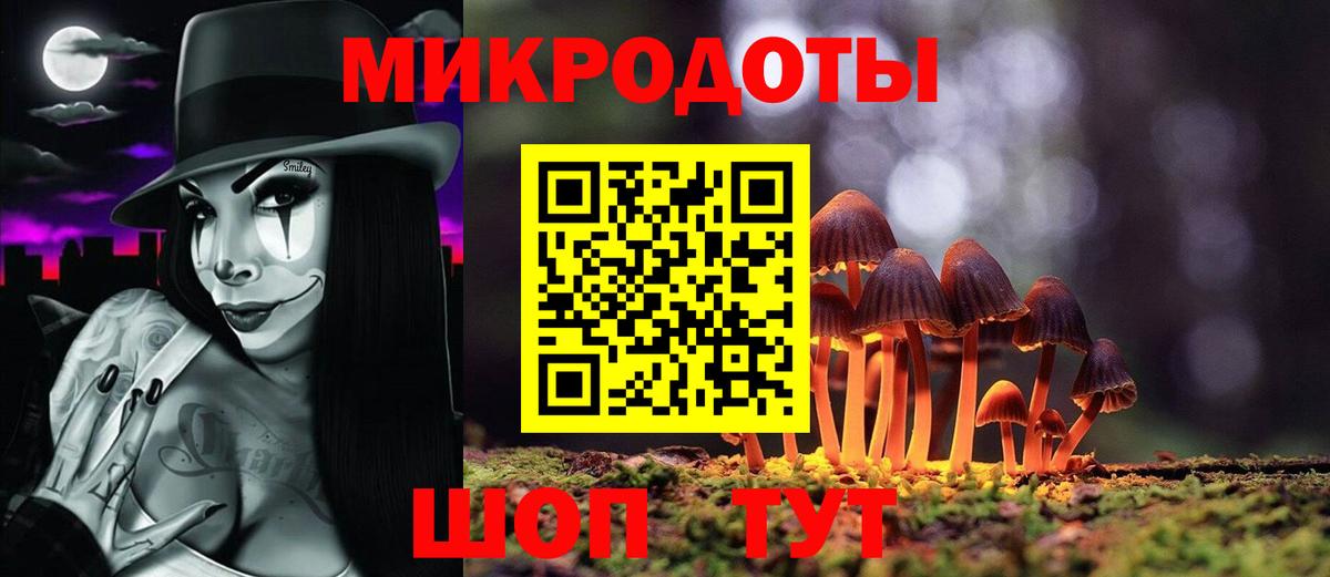 Сальск  Псилоцибиновые грибы Magic Shrooms  Вход с VPN 